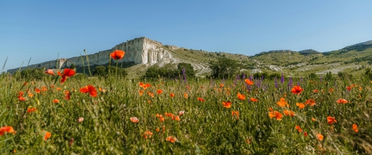 отдых в крыму отдых в крыму